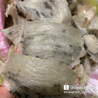 Tổ yến thô nhà nuôi.