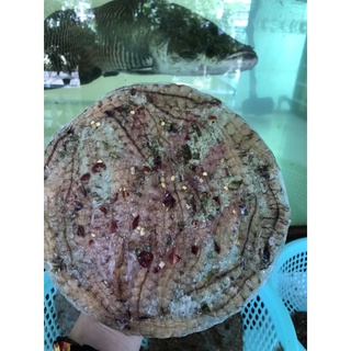 500g bánh tráng tôm tích