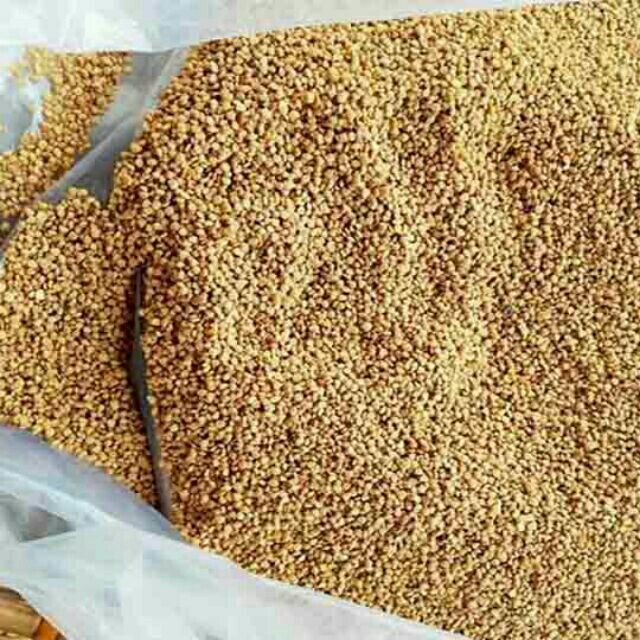 Phấn hoa mật ong hoa cà phê (1kg) - Nông Sản Sạch