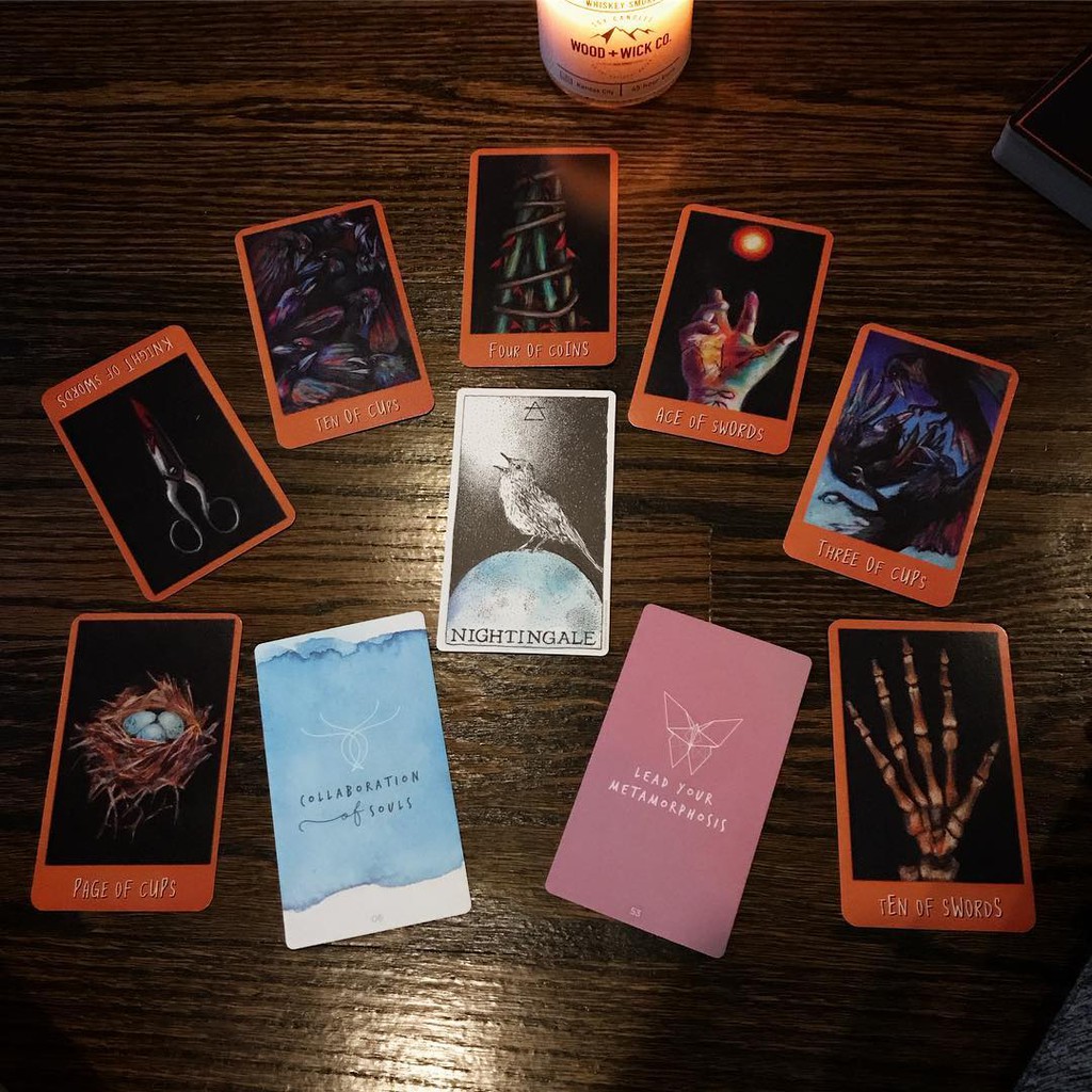Bộ Bài Raven's Prophecy Tarot (Mystic House Tarot Shop) - Bài Gốc Authentic Chính Hãng 100%