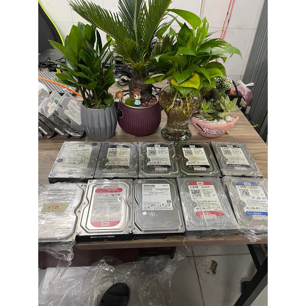 HDD - PC 250G, 500G, 1Tb, 2Tb Sata Hiệu Seagate - Westesn - Vi Tính Bắc Hải