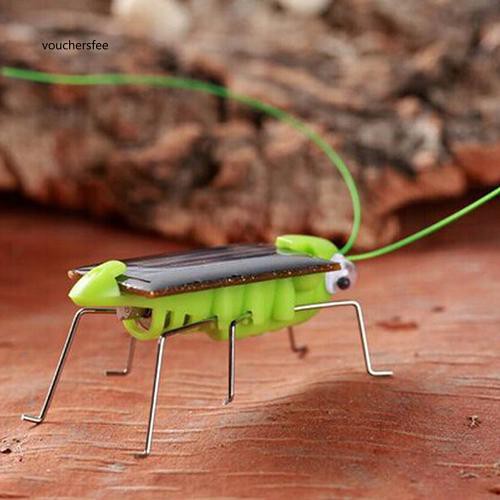 Creative Fun Solar Power Robot Insect Locust Grasshopper Kids Educational Toy