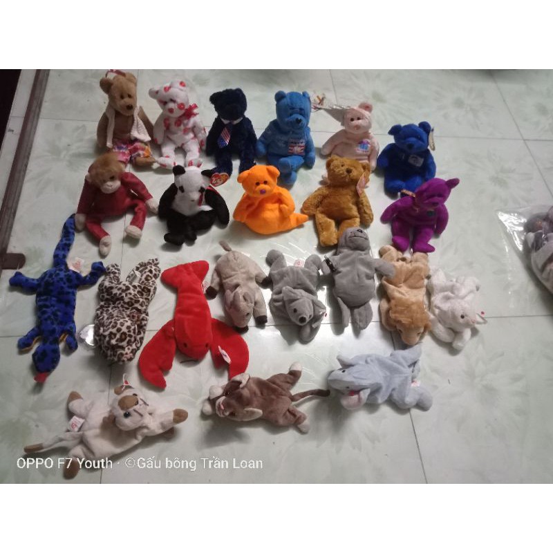 Gấu bông có hạt nhựa bên trong