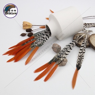 Lông chim trĩ đỏ đầu dài 5-10cm
