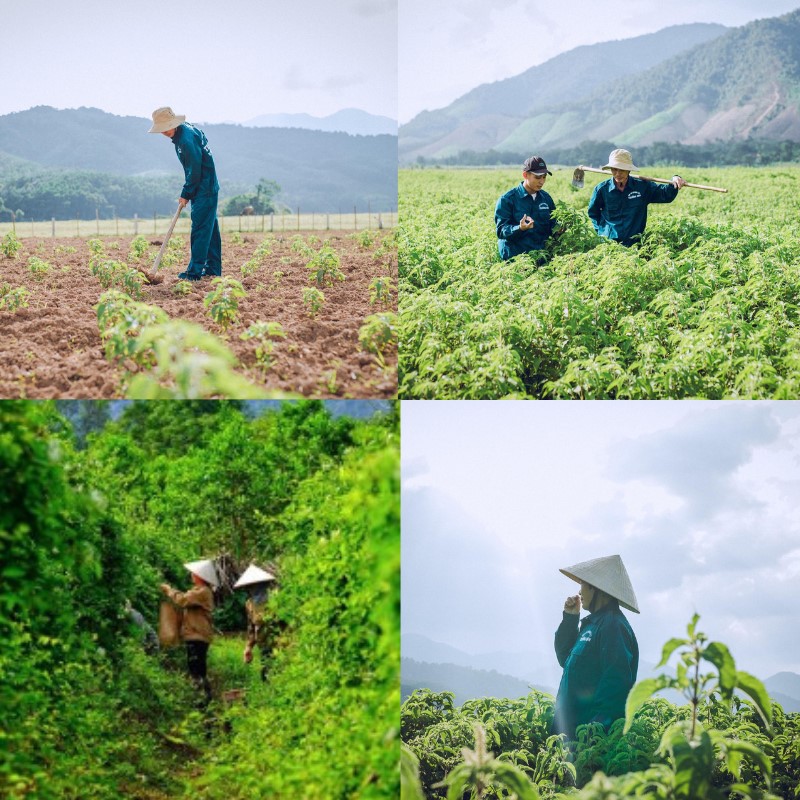 Tắm Dưỡng Dược Liệu Mật Cỏ Non - FREESHIP - Sữa Tắm Trắng Da Dưỡng Ẩm Cho Da Săn Chắc DM05-D | BigBuy360 - bigbuy360.vn