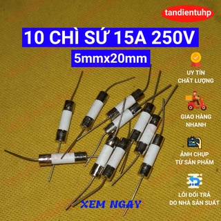 10 CHIẾC CẦU CHÌ SỨ CHÂN CẮM KÍCH THƯỚC 5mm x 20mm 15A 250V