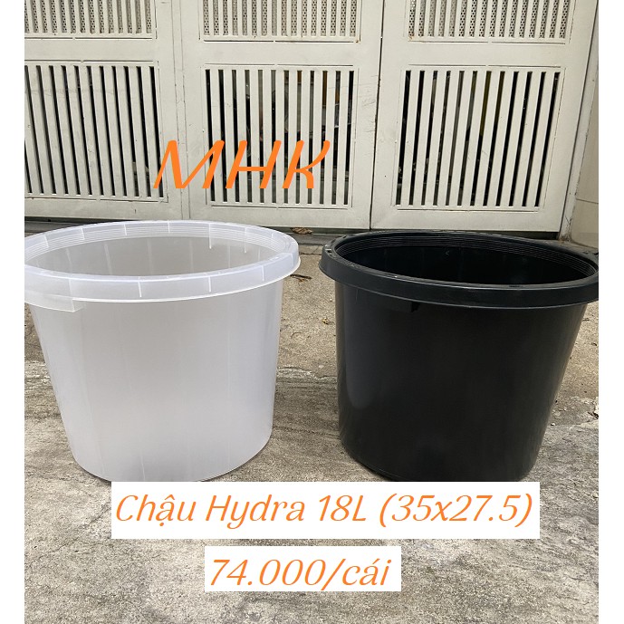 Chậu nhựa cứng 18L (37x27.5cm) dòng Hydra !