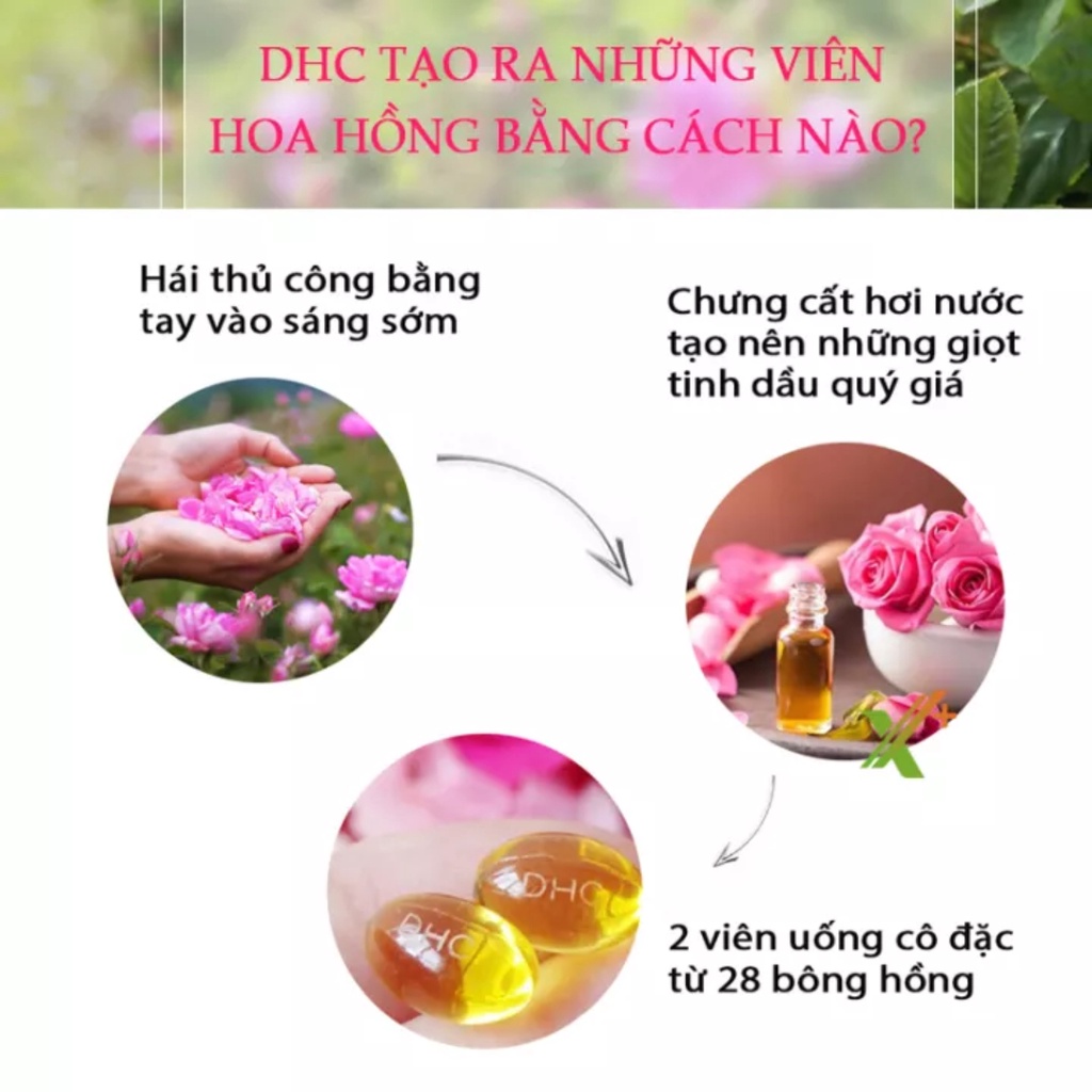 Viên uống thơm cơ thể DHC Nhật Bản hương hoa hồng khử mùi body bổ sung vitamin E làm đẹp dưỡng da chống lão hóa nam nữ