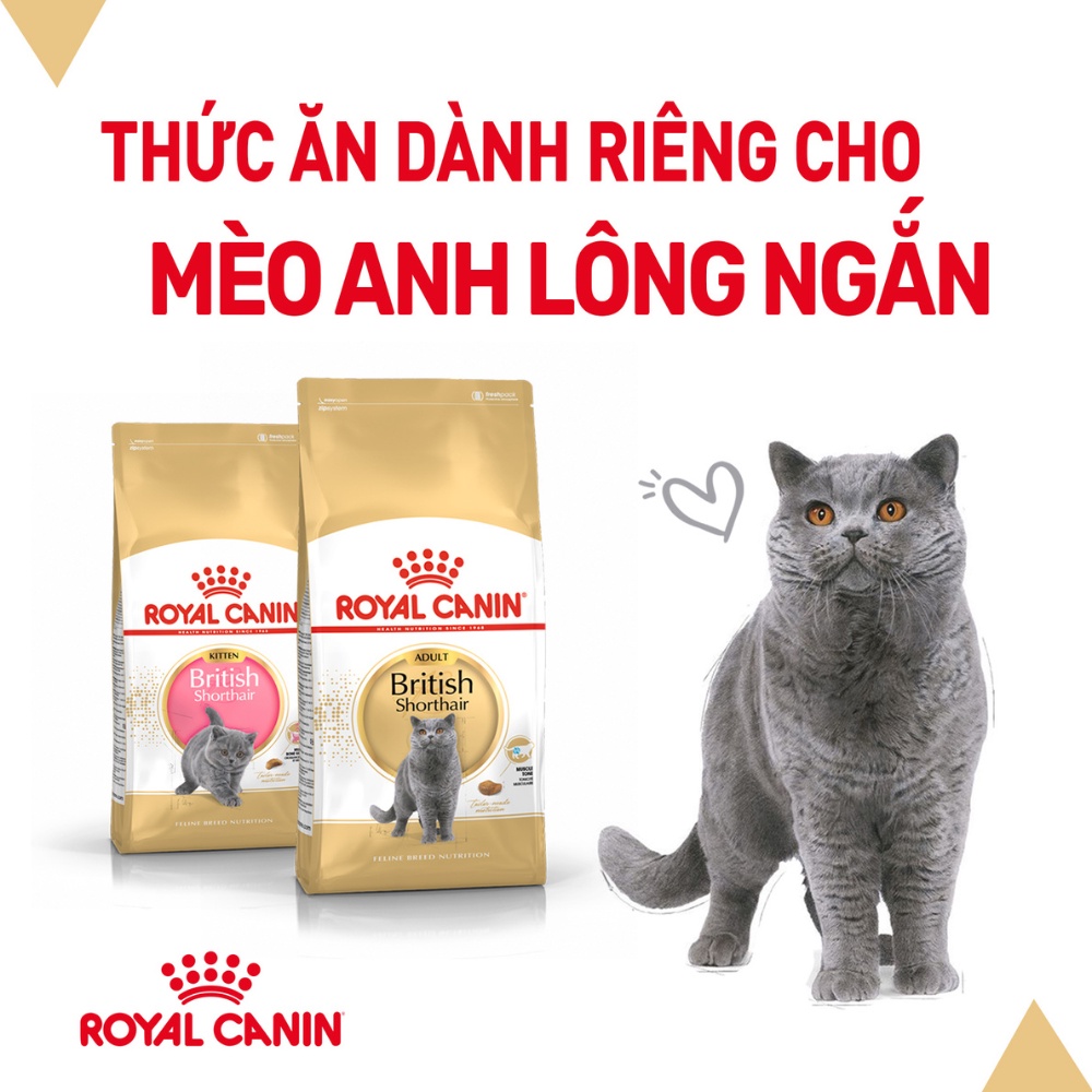 ROYAL CANIN PERSIAN KITTEN cho Mèo Ba Tư [2-12 tháng]  2Kg