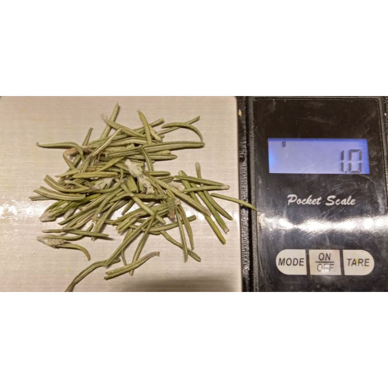 9293trangtri - Túi 1 gram Lá Hương Thảo Rosemary thơm khô tự nhiên - Phụ kiện làm Nến thơm - 9293store