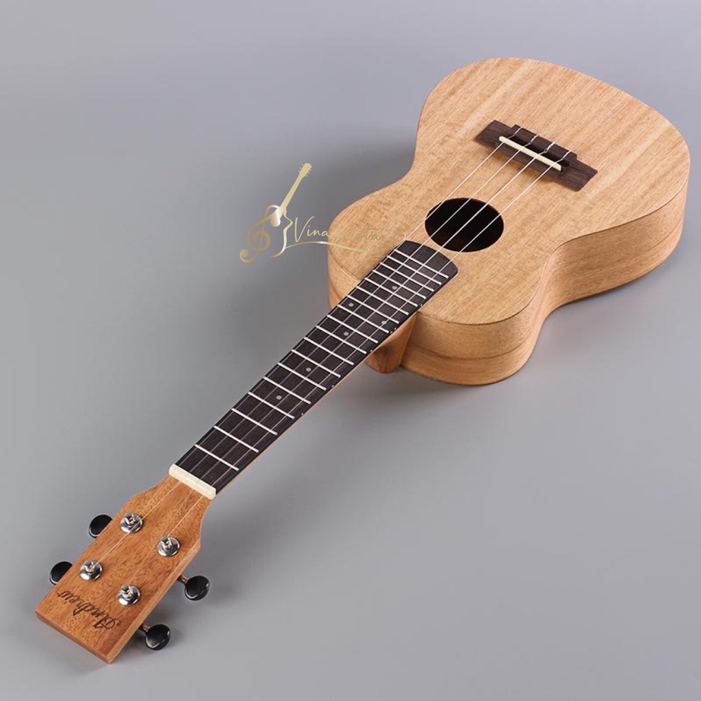 Đàn ukulele concert Andrew CX106N chính hãng - Vinaguitar phân phối- tặng full phụ kiện