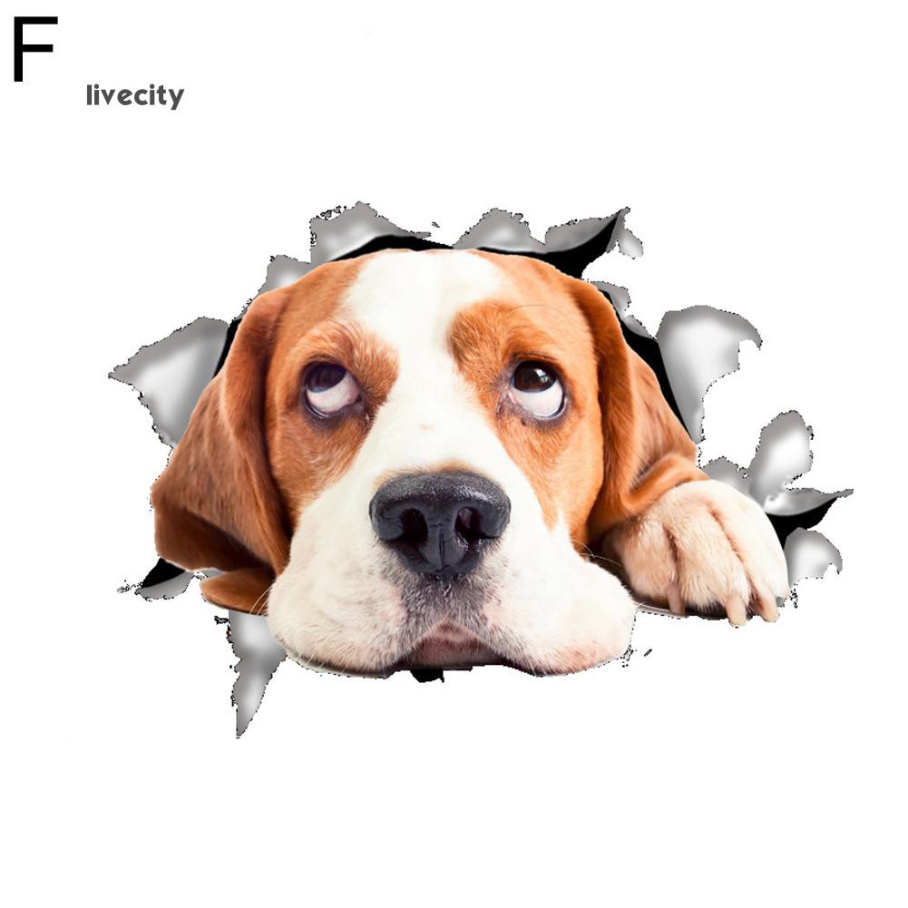 Decal Dán Tường Hình Chó Mèo Dễ Thương | BigBuy360 - bigbuy360.vn