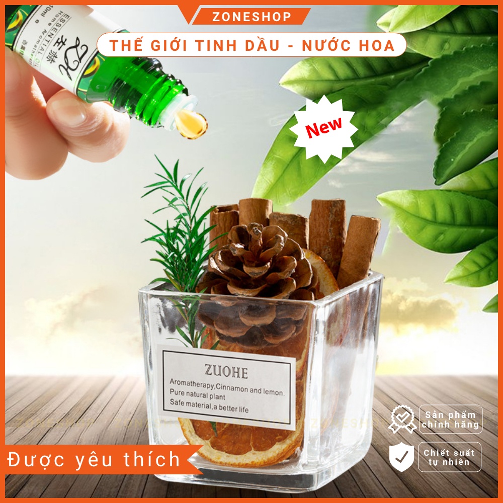 Nước hoa thơm phòng để bàn trang trí cây toả hương khuếch tán tinh dầu, cốc cây cảnh toả hương thơm trang trí [ZONESHOP]