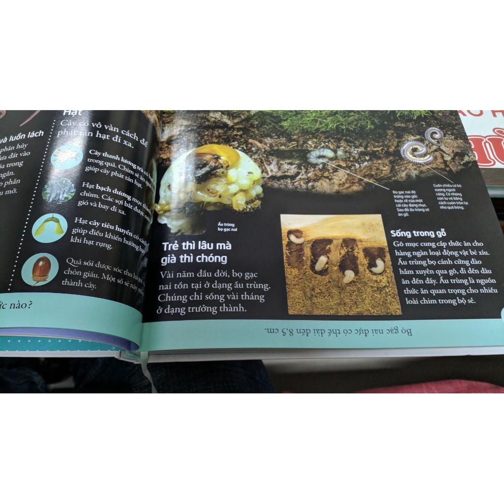 Sách - Bách Khoa Cho Trẻ Em - Bách Khoa Tự Nhiên | BigBuy360 - bigbuy360.vn