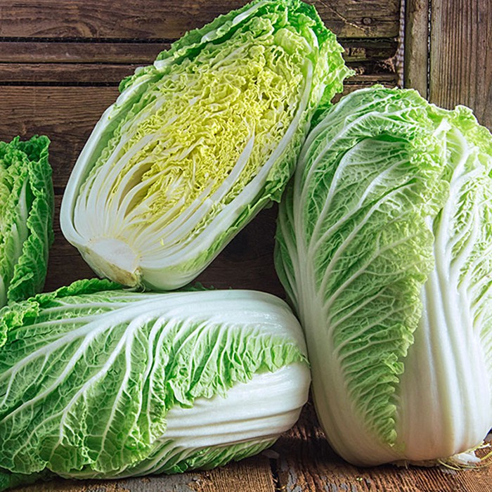 Hạt giống bắp cải thảo F1 0.5gram