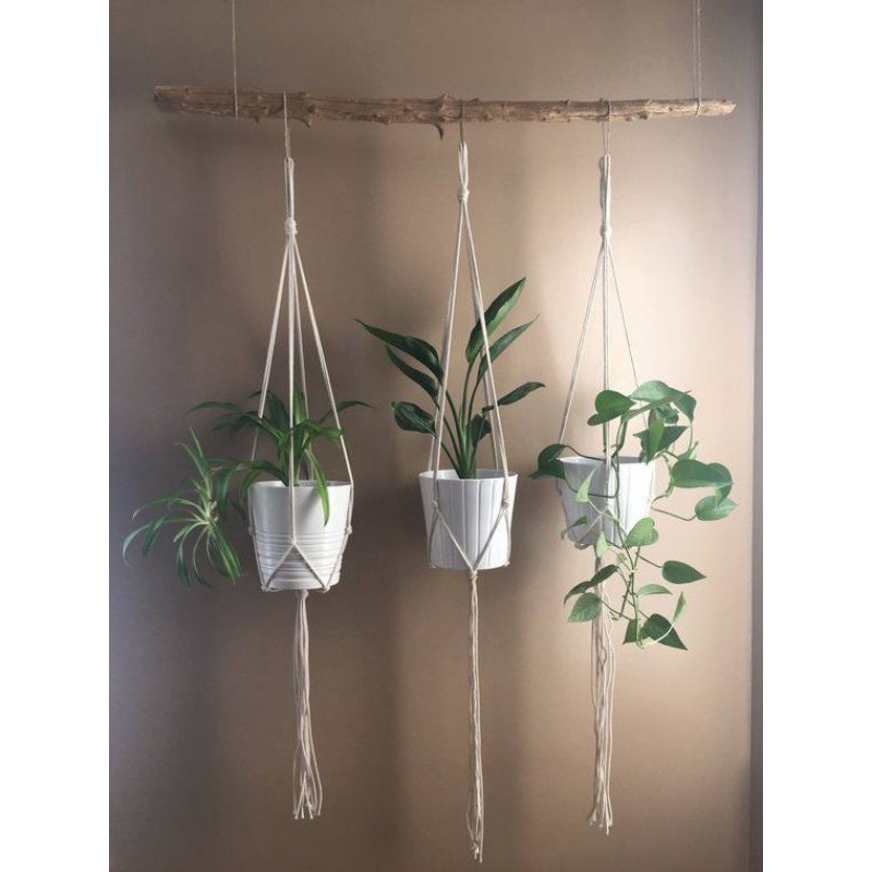 Dây treo chậu cây trang trí ban công