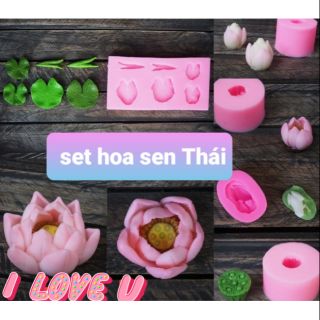 Set khuôn hoa Sen
