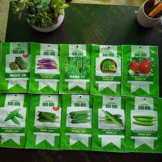 Combo 10 gói hạt giống cây ăn quả 120k