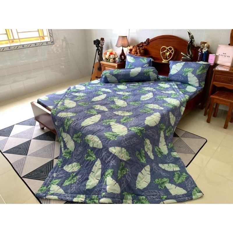 Bộ drap thun hàn quốc 4 món mẫu lá