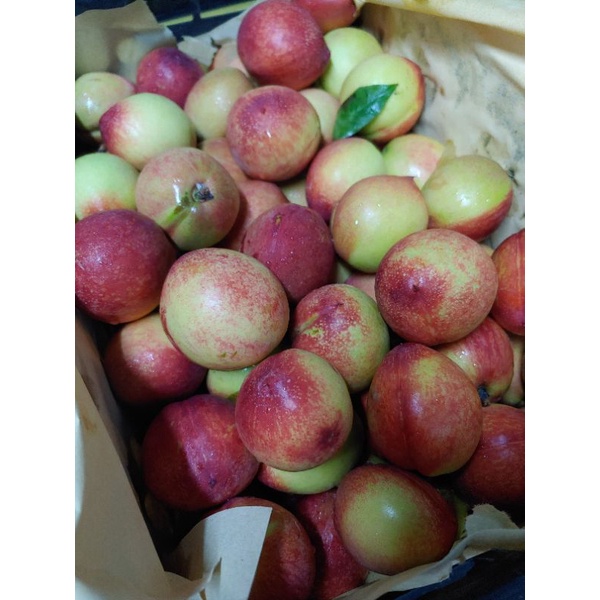 HCM Free Ship - Đào Đỏ Sapa giòn ngọt 1kg