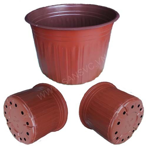 Bán CHẬU NHỰA TRỒNG CÂY 23*16 hàng Việt chất lượng.