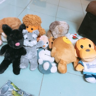 Combo 10 bé gấu 185k