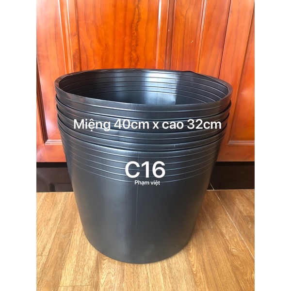 chậu nhựa 10 chậu C16