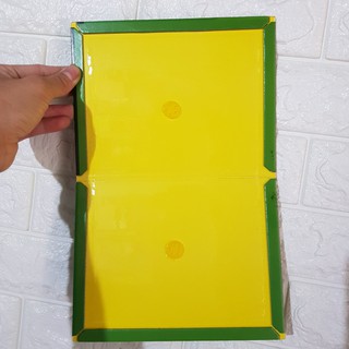 Combo 10 miếng dính chuột cao cấp