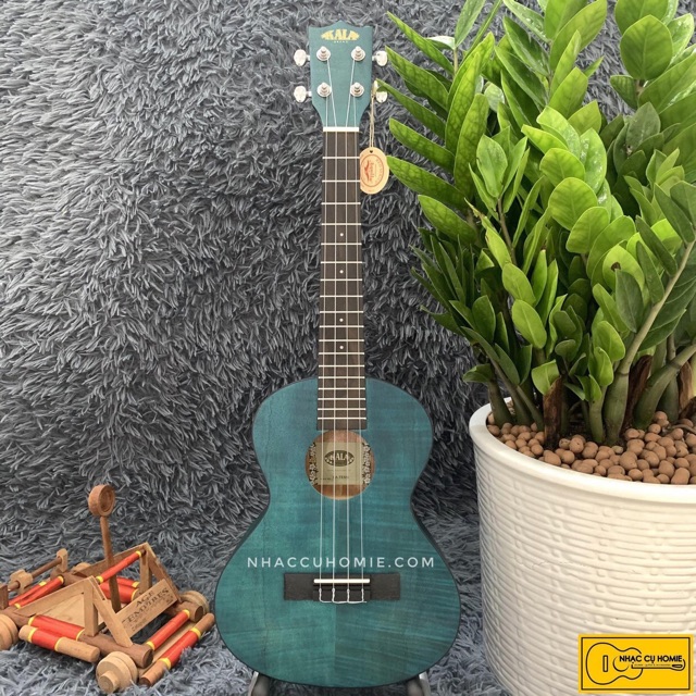 Đàn Ukulele concert