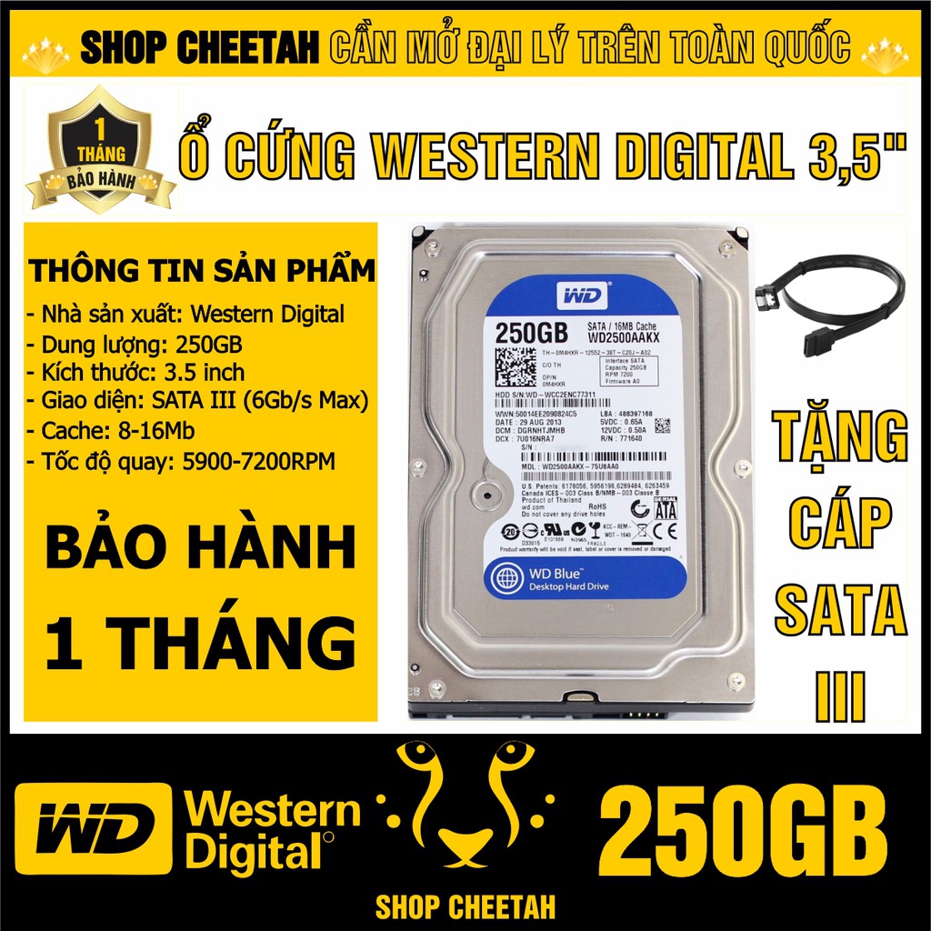 Ổ cứng 250GB Western Digital HDD 3.5” - Chính Hãng – Bảo hành 1 tháng – Tháo máy đồng bộ mới 99% - HDD WD xanh