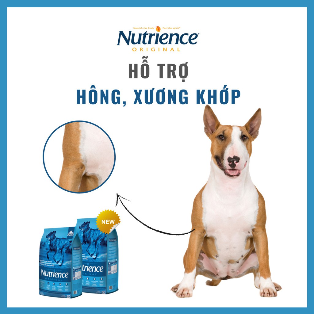 Thức Ăn Cho Chó Pitbull - Phát Triển Cơ Bắp Nutrience Original Bao 11,5kg - Thịt Gà, Gạo Lứt, Rau Củ, Trái Cây