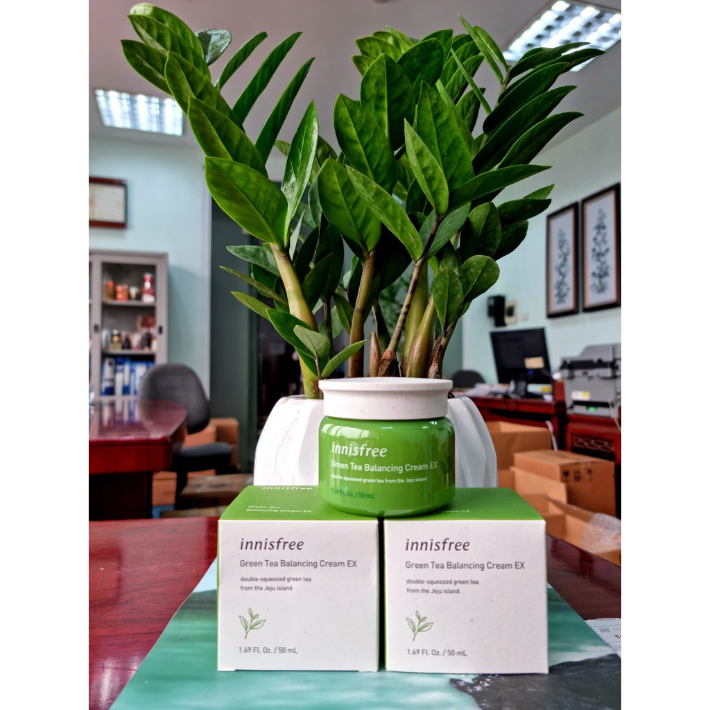 Kem Dưỡng chống lão hóa da Trà Xanh Innisfree Green Tea Balancing Cream EX 50ml