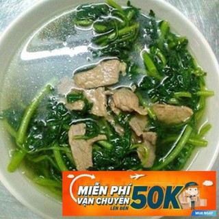 20g Hạt giống Rau Tần ô
