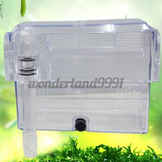 Hộp Nuôi Cách Ly Cho Bể Cá