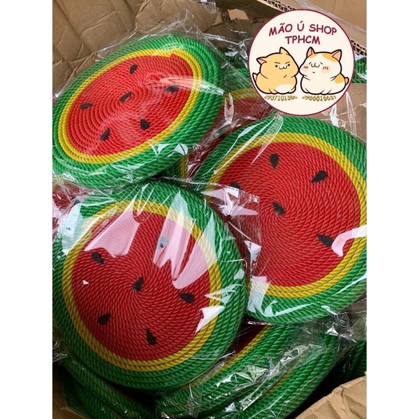 ĐỒ CHƠI CHO MÈO-CẦN CÂU MÈO