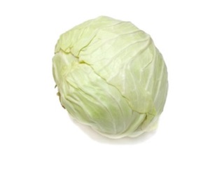 Hạt giống Bắp Cải F1