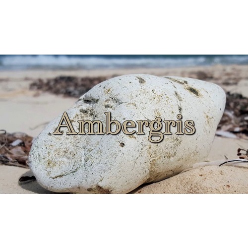 AMBERGRIS