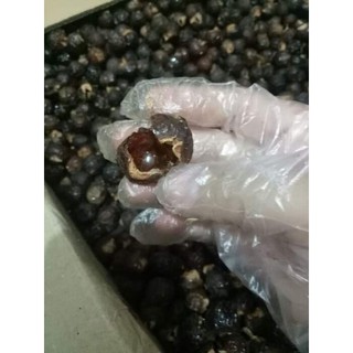 1kg bồ hòn khô đã tách hạt loại 1