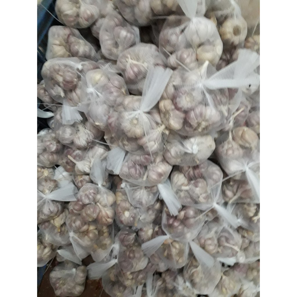 tỏi tím- tỏi bắc 1kg