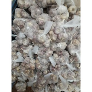 tỏi tím- tỏi bắc 1kg