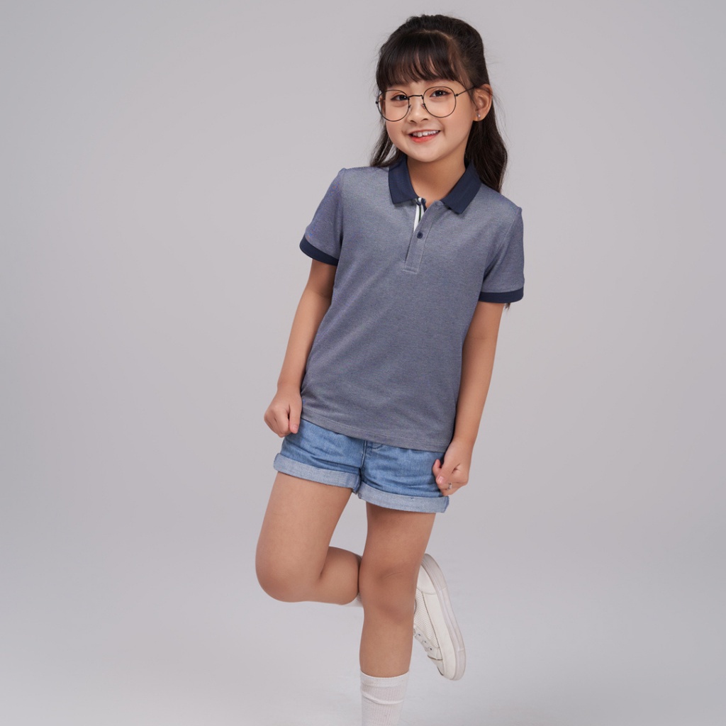 Áo polo trẻ em mắt chim Melange YODY Phối Nẹp thoáng mát siêu thấm hút mặc đi học đi chơi APK5151