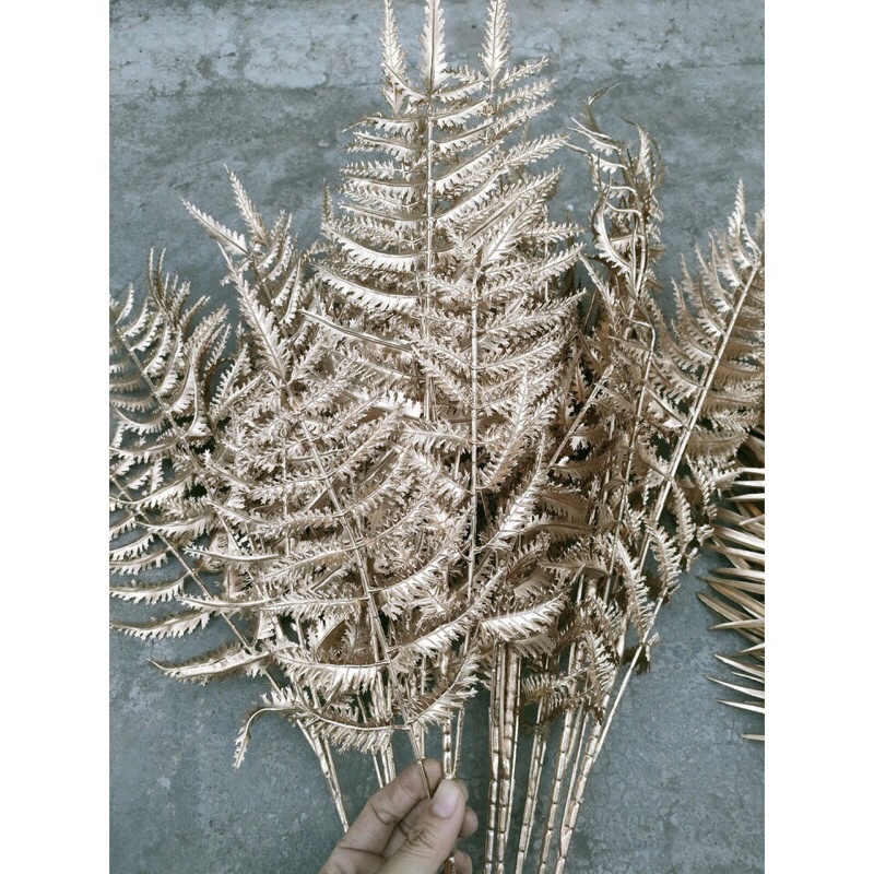 Cành rẻ quạt ,cành tim,thanh táo vàng dài 75cm dercor,trang trí siêu sang, hàng có sẵn tại kho