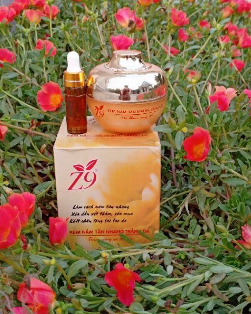 Kem Nám Tàn Nhang Trắng Da Z9  Hộp 12G Z21
