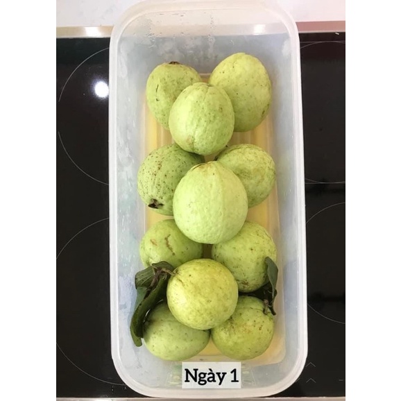Hộp Ventsmart 6.1l - Hàng chính hãng Tupperware - Trữ rau củ quả tươi, không héo, úa trong 2-3 tuần