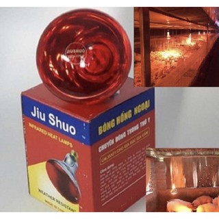 Bóng đèn hồng ngoại sưởi úm gia cầm gà vịt,mèo con,cún con 150w đuôi e27
