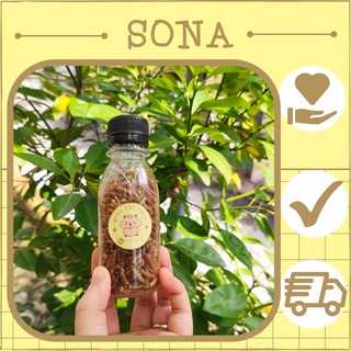 Sâu khô rang bơ vỗ béo Hamster lọ 100ml