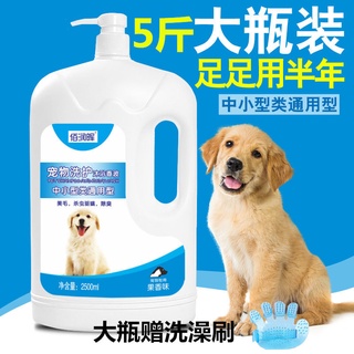[chai lớn 5 kg] Sữa tắm cho chó Samoyed Teddy Dầu gội sữa tắm khử trùng và khử mùi cho thú cưng