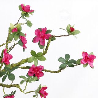 Cành hoa lụa đỗ quyên