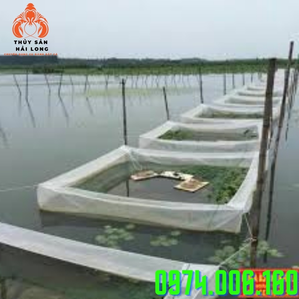TRÁNG NUÔI ẾCH lưới cước  khum miệng 20cm - mắt lưới 2.5mm