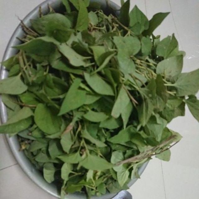 Rau diếp cá (1kg) - ship hàng sáng thứ 2